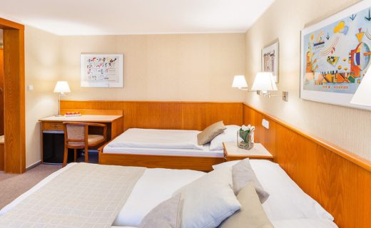 hotel-snezka-pokoj-standard-08